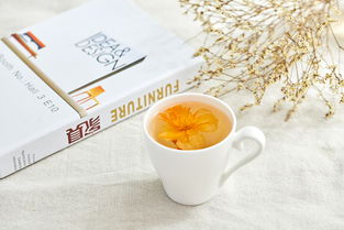 背包寻味 清肺茶产品图拍摄
